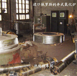 進口螺桿氮化爐 